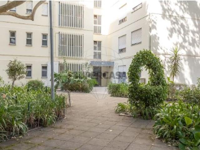 Casa venda em Coimbrã, Coimbra