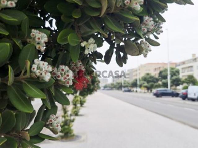 Casa venda em Vila Do Conde, Porto
