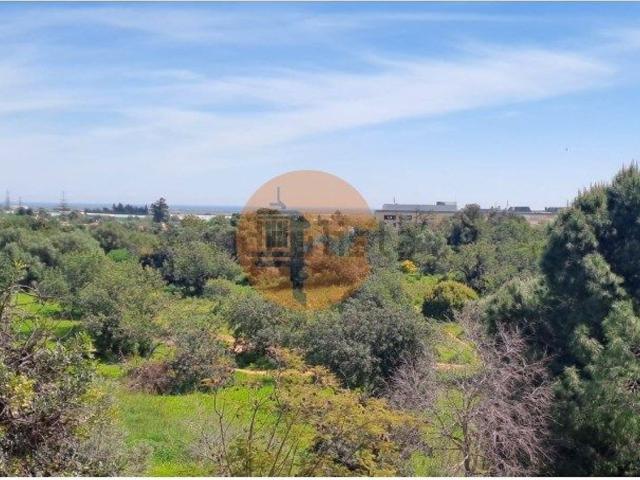 Apartamento venda em Marlin, Tavira