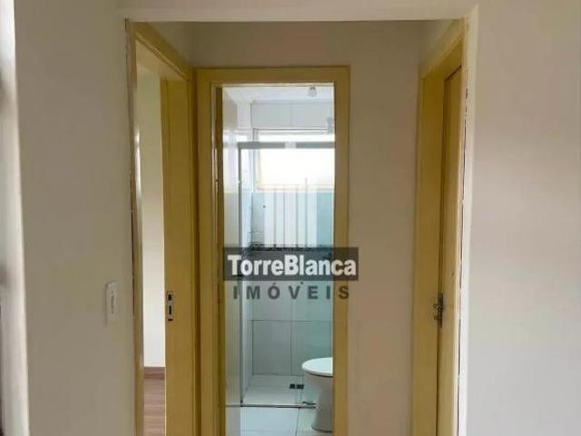 Apartamento venda em Região Geográfica Imediata de Ponta Grossa, Ponta Grossa