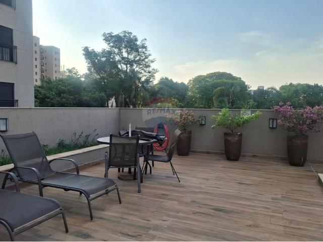 Apartamento aluguel em Ribeirão Preto