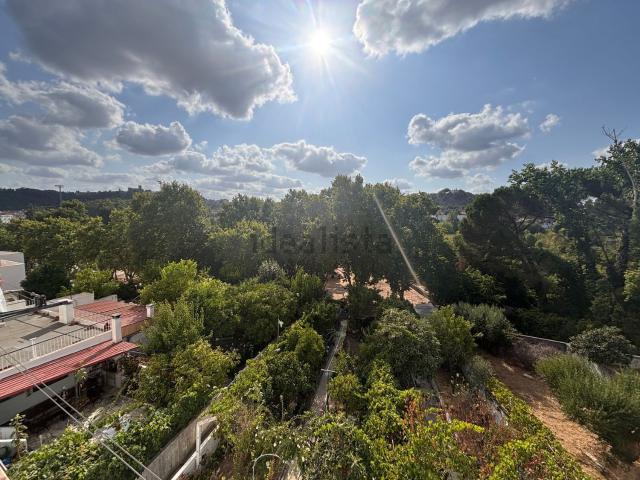 Duplex venda em Colégio Nuno Álvares, Tomar