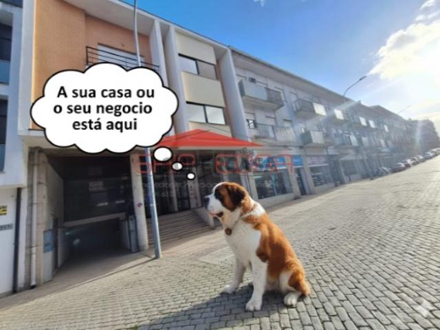 Armazém venda em Viseu