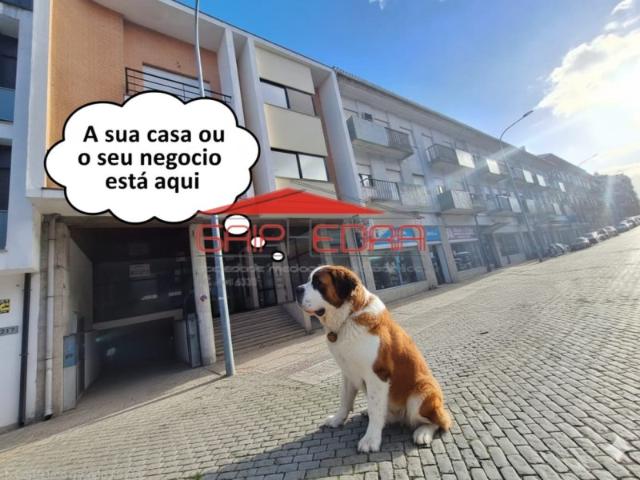 Loja venda em Viseu