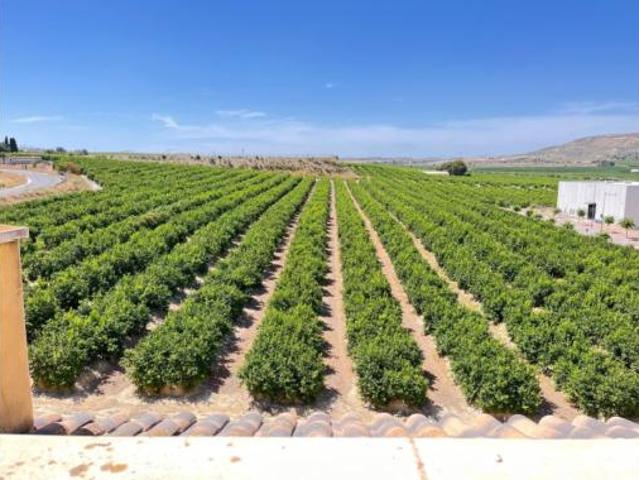 Apartamento en venta en el Baix Segura / La Vega Baja, Valencia