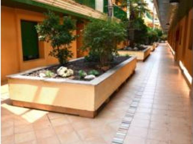 Apartamento en venta en l'Eucaliptus, Montsià