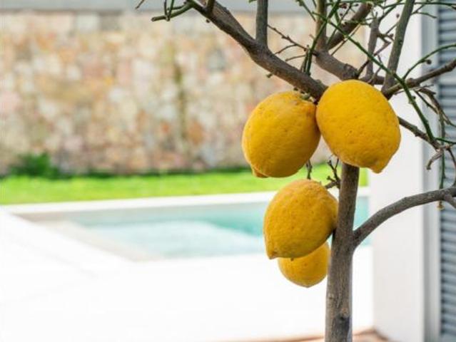 Apartamento en venta en Les Meravelles, Palma