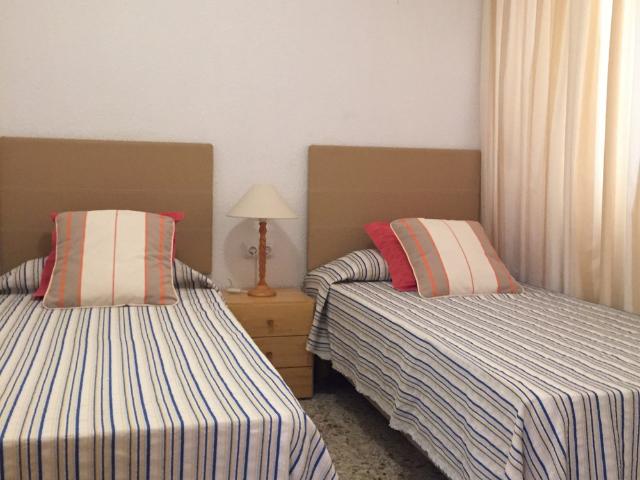 Apartamento en alquiler en Urbanització Pinar de Guardamar, el Baix Segura / La Vega Baja