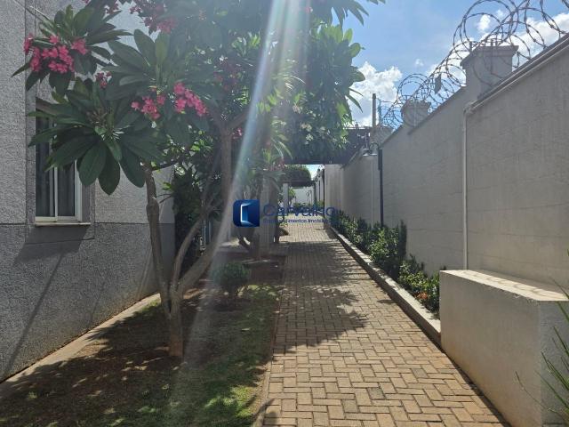 Apartamento aluguel em Vila Irene, Paulínia