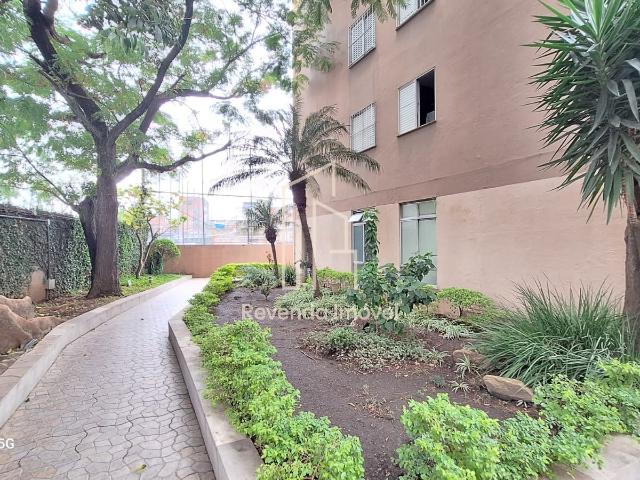 Apartamento aluguel em Iacanga