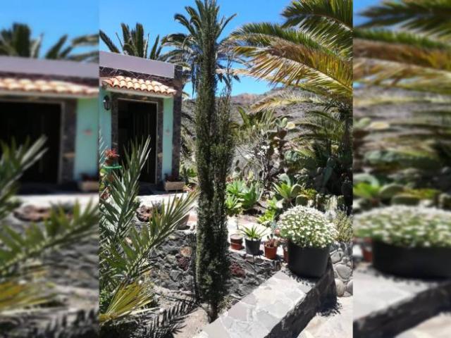 Apartamento en alquiler en Santa Cruz De Tenerife, Canarias