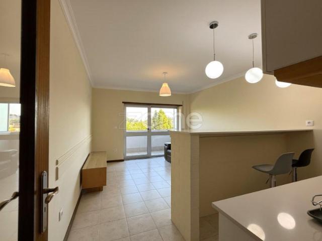 Apartamento alugar em Anadia, Aveiro