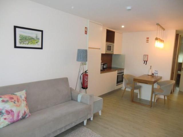 Apartamento alugar em Arouca, Burgo