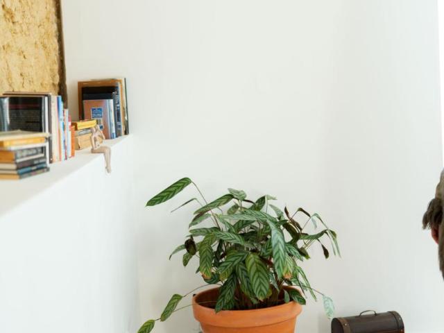 Apartamento alugar em Palmela, Setúbal