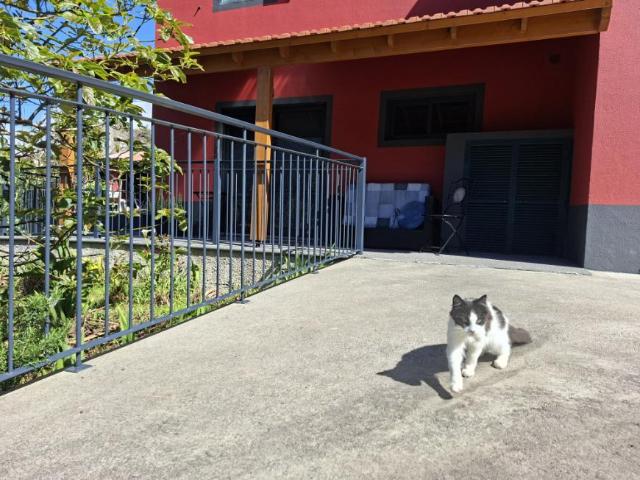 Apartamento alugar em São Vicente, Ilha Da Madeira
