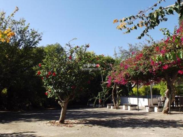 Apartamento venda em Tavira