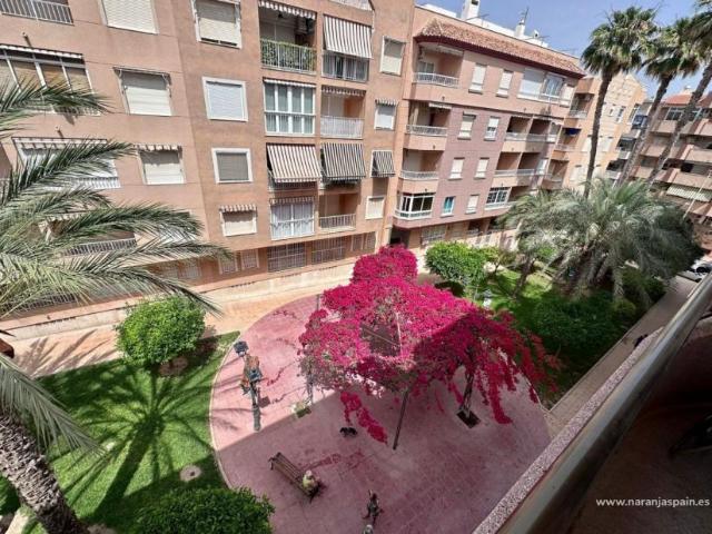Apartamento en alquiler en Guardamar Del Segura, Alicante