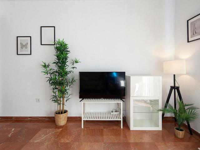 Apartamento en alquiler en Casco Antiguo, Sevilla