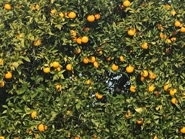 Apartamento alugar em Seixal, Amora