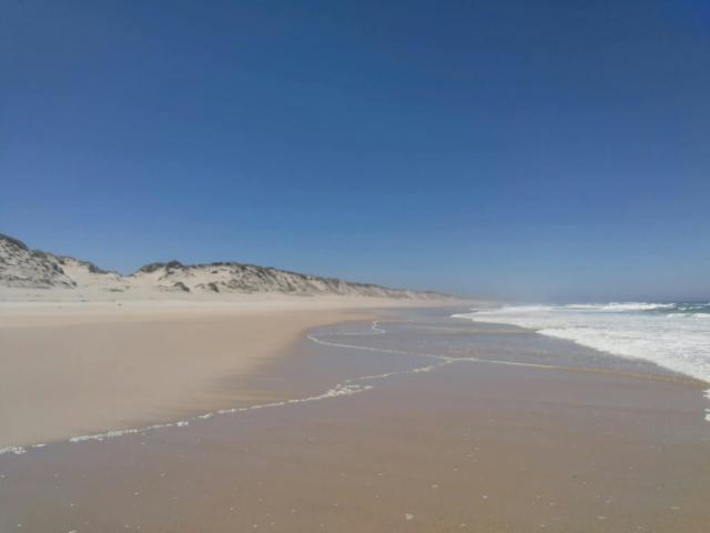 Apartamento alugar em Marinha Grande, Leiria