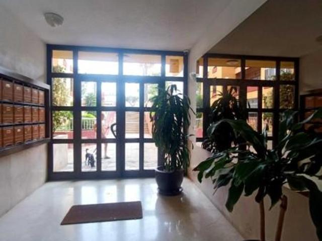 Apartamento en alquiler en Santa Cruz De Tenerife, Canarias