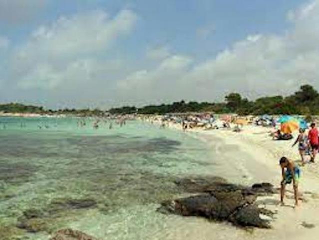 Apartamento en alquiler en ses Salines, Migjorn