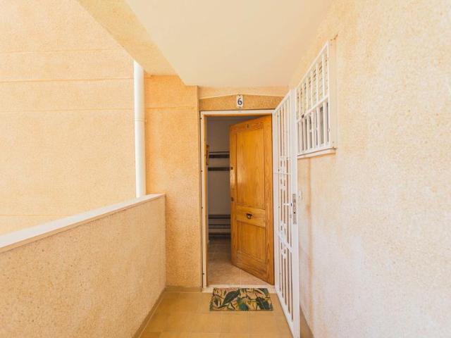 Apartamento en alquiler en Residencial Miramar V, Torrevieja