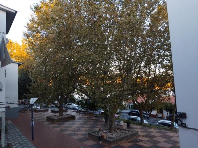 Apartamento alugar em Sé, Portalegre