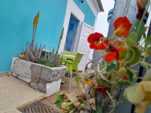 Apartamento alugar em Albufeira e Olhos de Água, Albufeira