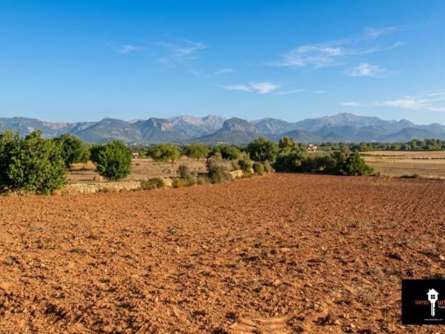Apartamento en venta en Santa Eugènia, Illes Balears