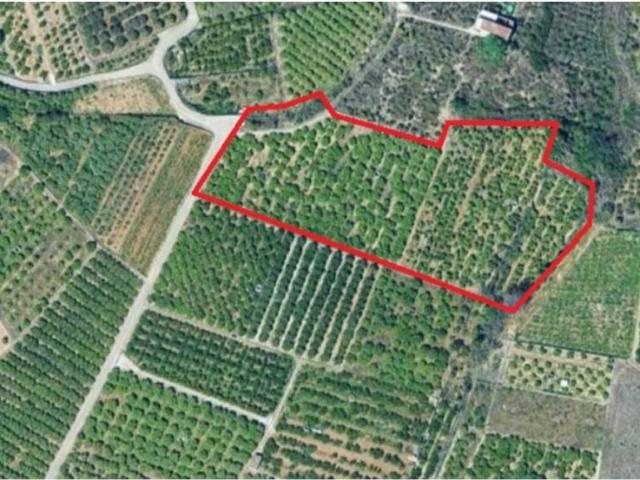 Apartamento en venta en la Safor, Valencia