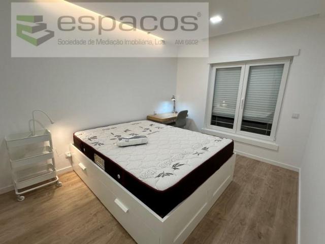 Apartamento alugar em Castelo Branco