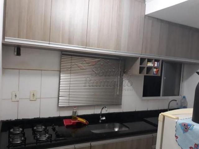 Apartamento venda em Região Imediata de Ribeirão Preto, Região Metropolitana de Ribeirão Preto