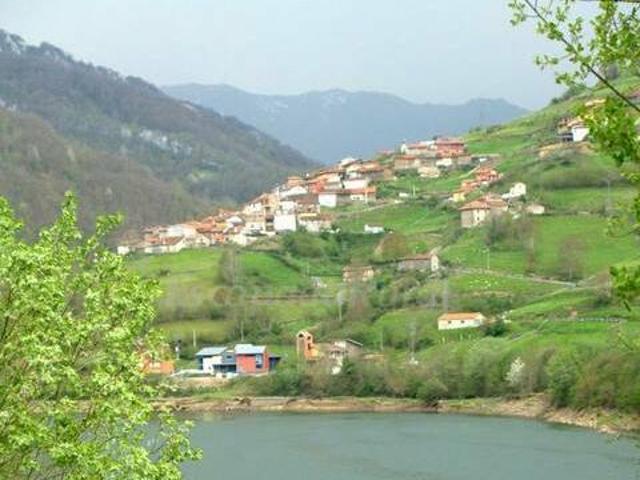 Casa en alquiler en Caso, Asturias