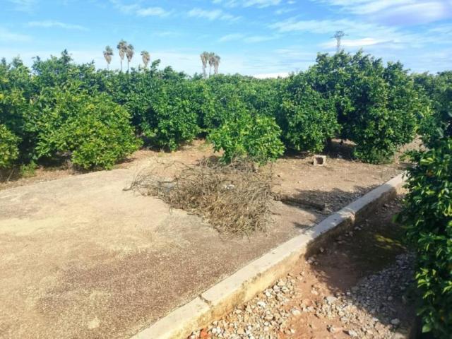 Apartamento en venta en la Safor, Valencia