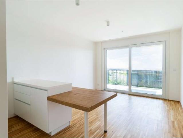Apartment mieten in KG Oberlaa Stadt, Wien