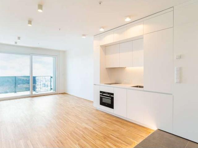 Apartment mieten in KG Oberlaa Stadt, Wien
