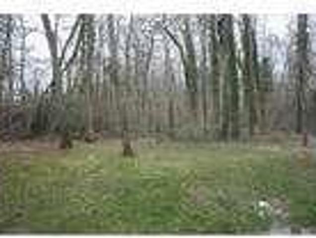 House for rent in Mebane