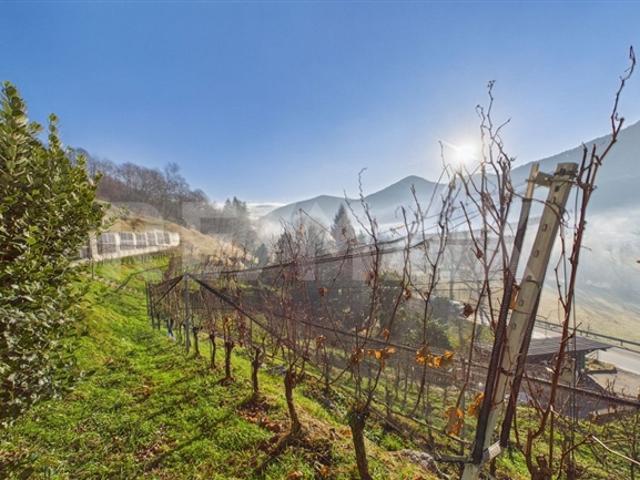 Grundstück kaufen in Biogno-Beride, Tessin