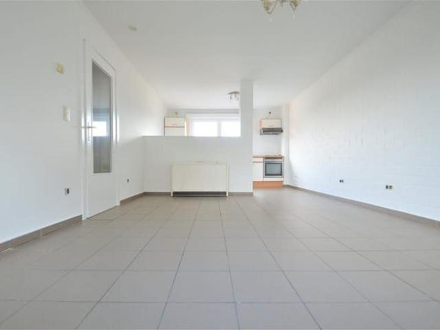 Kot location à Lebbeke, Oost-Vlaanderen