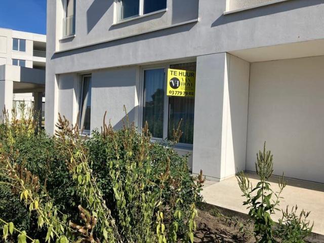 Appartement location à Lokeren, Oost-Vlaanderen