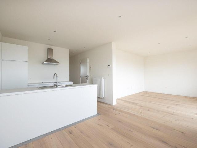 Kot location à Merksemheide, Antwerpen