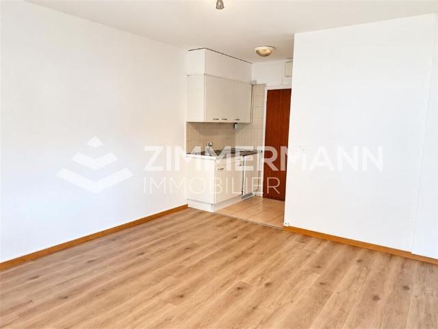 Apartment mieten in Lausanne, District de Lausanne