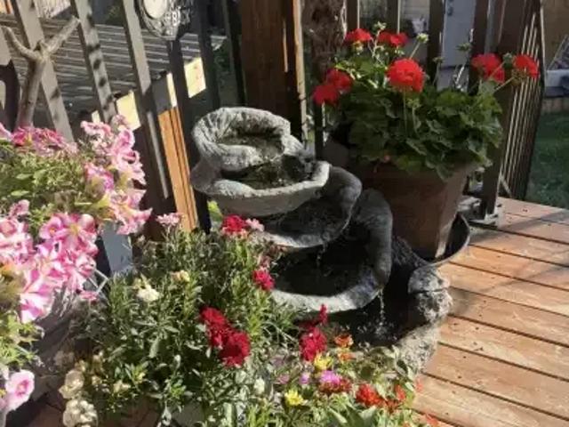 Apartment for rent in Montgomery, Calgary