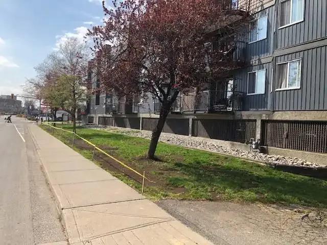 Apartment for rent in Chilliwack, British Columbia