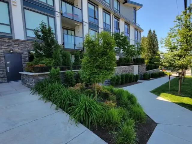 Apartment for rent in Coquitlam, British Columbia