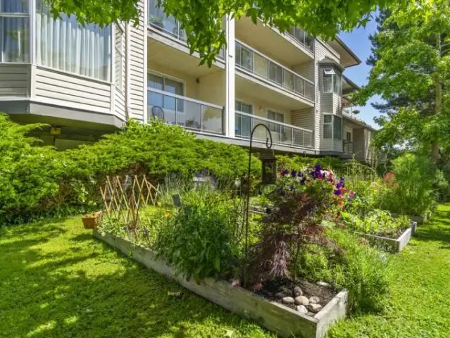 Apartment for rent in Delta, British Columbia