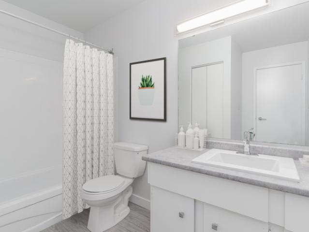 Apartment for rent in Wedgewood, Alberta