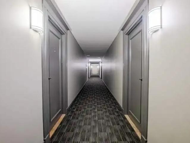 Apartment for rent in Arva, Ontario