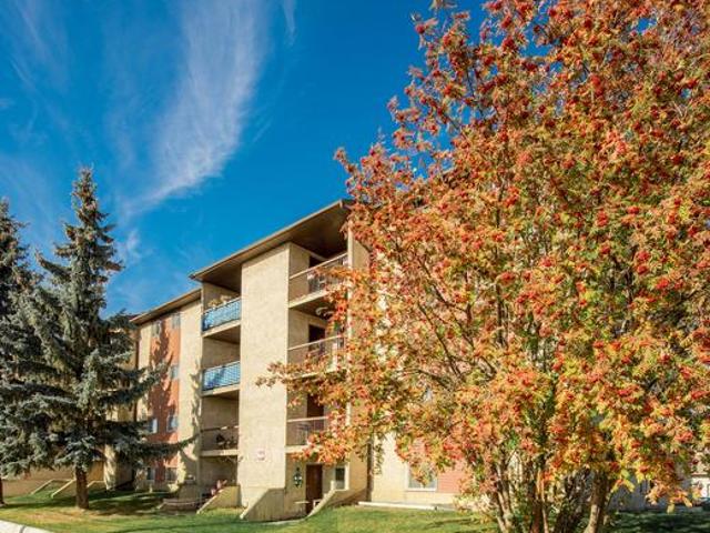 Apartment for rent in Stony Plain